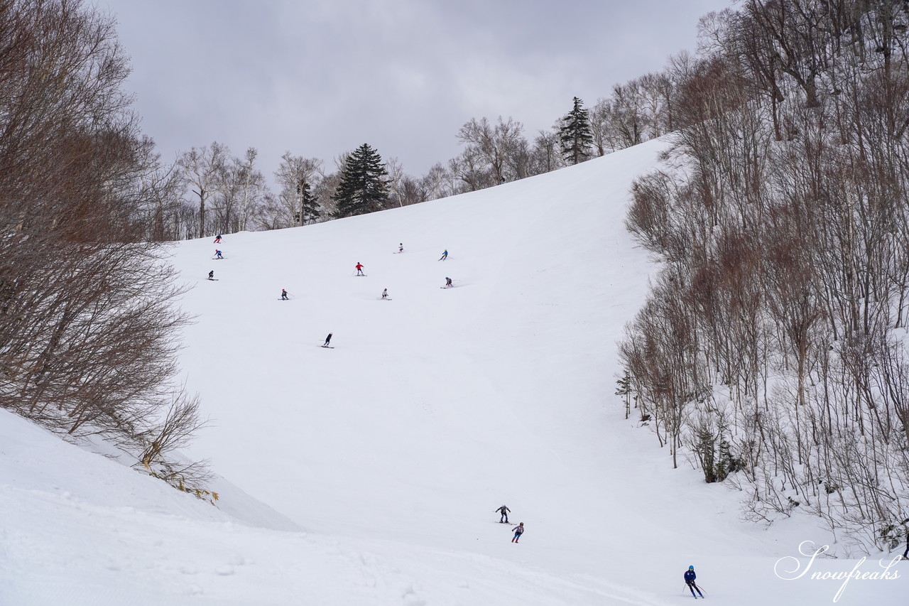 サッポロテイネ　シーズン通常営業最終日。今後は、5月のゴールデンウイークまで土日祝日のみ『特別春スキー営業』です。